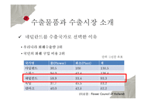 [무역학] 화훼상품 네덜란드 수출 전략-7