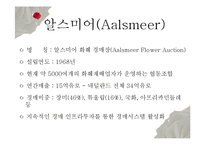[무역학] 화훼상품 네덜란드 수출 전략-13