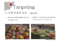 [무역학] 화훼상품 네덜란드 수출 전략-14