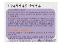 [사회복지] 의료보험제도 분석-정치의 삼각형과 정책 중심-13