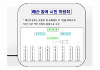 [지방재정론] 대전광역시의 주민참여예산제도-13