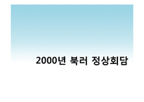 [정치학] 북한-러시아 정상회담 분석-3