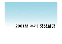 [정치학] 북한-러시아 정상회담 분석-8