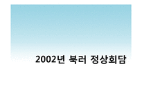 [정치학] 북한-러시아 정상회담 분석-13