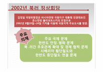 [정치학] 북한-러시아 정상회담 분석-14