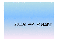 [정치학] 북한-러시아 정상회담 분석-17