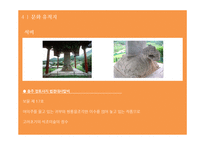 충주 도시의 역사와 문화-9