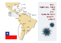중남미의 문화적, 경제적 한류 현상-11