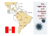 중남미의 문화적, 경제적 한류 현상-13