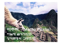 중남미의 문화적, 경제적 한류 현상-14