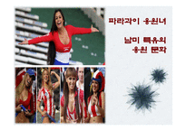 중남미의 문화적, 경제적 한류 현상-15