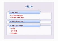불어권의 패션 문화-2