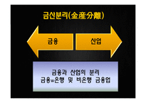 [행정학] 금산분리 완화 정책-4