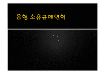 [행정학] 금산분리 완화 정책-6
