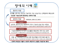 [사회복지] 장애아동과 아동복지-3