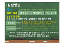 [심리학] 집단행동과 동조현상-12