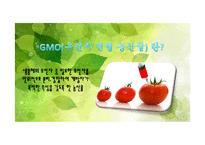 [기술과 사회] 유전자 조작식품(GMO)-4