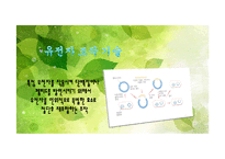 [기술과 사회] 유전자 조작식품(GMO)-5