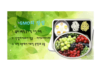 [기술과 사회] 유전자 조작식품(GMO)-8