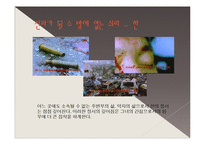 영화 `쉬리` 이방희를 통해 보는 신파와 멜로-17