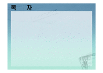 [정부와 기업] 미디어관련법 개정-2