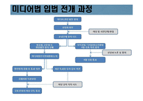 [정부와 기업] 미디어관련법 개정-5