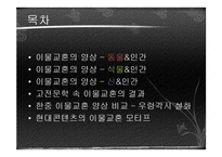 [국문학] 고전문학 속 이물교혼-2