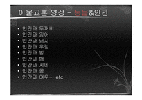 [국문학] 고전문학 속 이물교혼-3