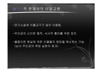 [국문학] 고전문학 속 이물교혼-18