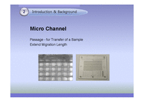 [화학공학] Micro-Scale Patterns(영문)-11