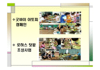 풀무원 사회적책임과 사회공헌활동 CSR사례 파워포인트-13