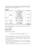 농심 마케팅 광고기획서-11