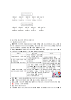 하겐다즈 마케팅전략기획서-3