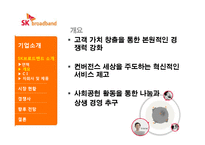 SK브로드밴드 기업 경영분석과 경영사례분석-5