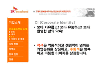 SK브로드밴드 기업 경영분석과 경영사례분석-6