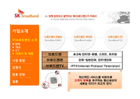 SK브로드밴드 기업 경영분석과 경영사례분석-8