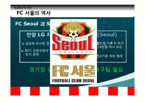FC서울 스포츠마케팅 전략분석-5