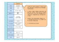 노스페이스 마케팅사례및 광고전략분석-14