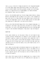 levis 리바이스 온라인마케팅전략및 한계점분석-6