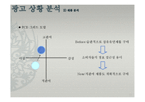 샤프란 광고기획서 PPT-11