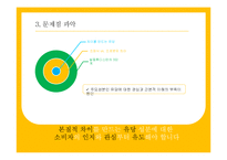 일동후디스 마케팅전략분석과 새로운마케팅전략제시-19