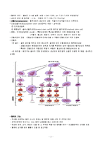 혈액의 구조와 기능-3