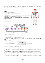 혈액의 구조와 기능-6