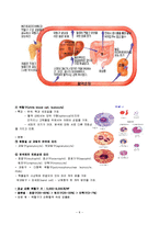 혈액의 구조와 기능-8