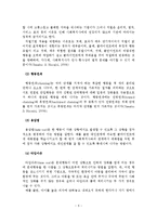사회복지실천의 과정의 개입 및 점검-6