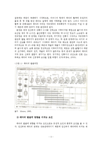 인간의 성장과 발달 태아기-4