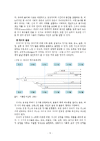 인간의 성장과 발달 태아기-20