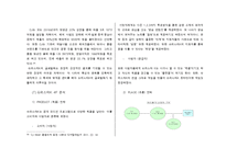 슈퍼스타K 슈스케 방송분석및 경쟁사 프로그램분석,자사전략분석,마케팅4P전략분석-14