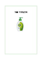 데톨 DETOL 마케팅 SWOT,STP,4P사례분석및 새로운 마케팅전략제안-1