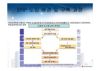 ERP 구축 성공사례 LG전자-20